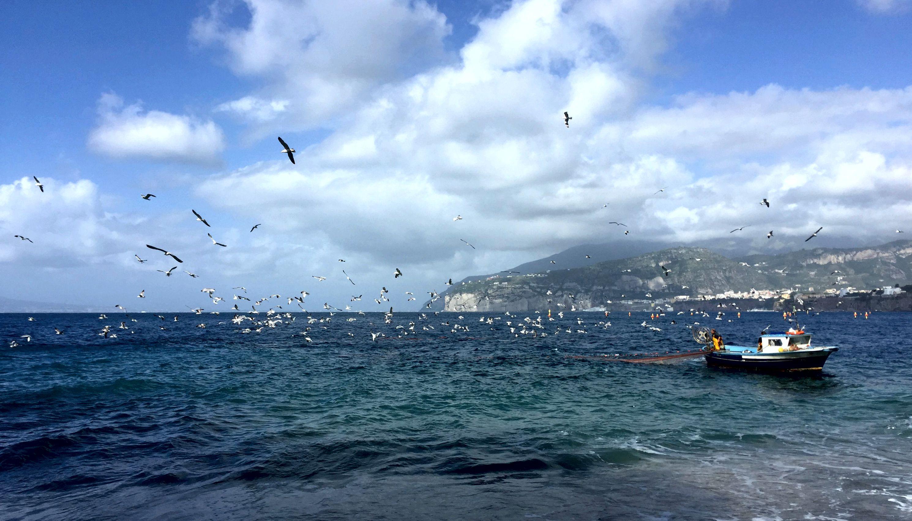 Hotel La Tonnarella Sorrento Dış mekan fotoğraf